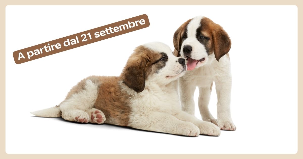 Presenza dei cuccioli al Barryland
