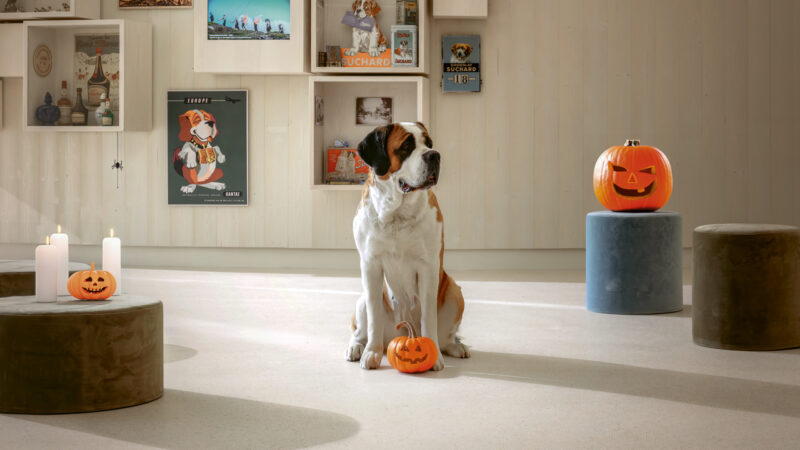 Halloween à Barryland