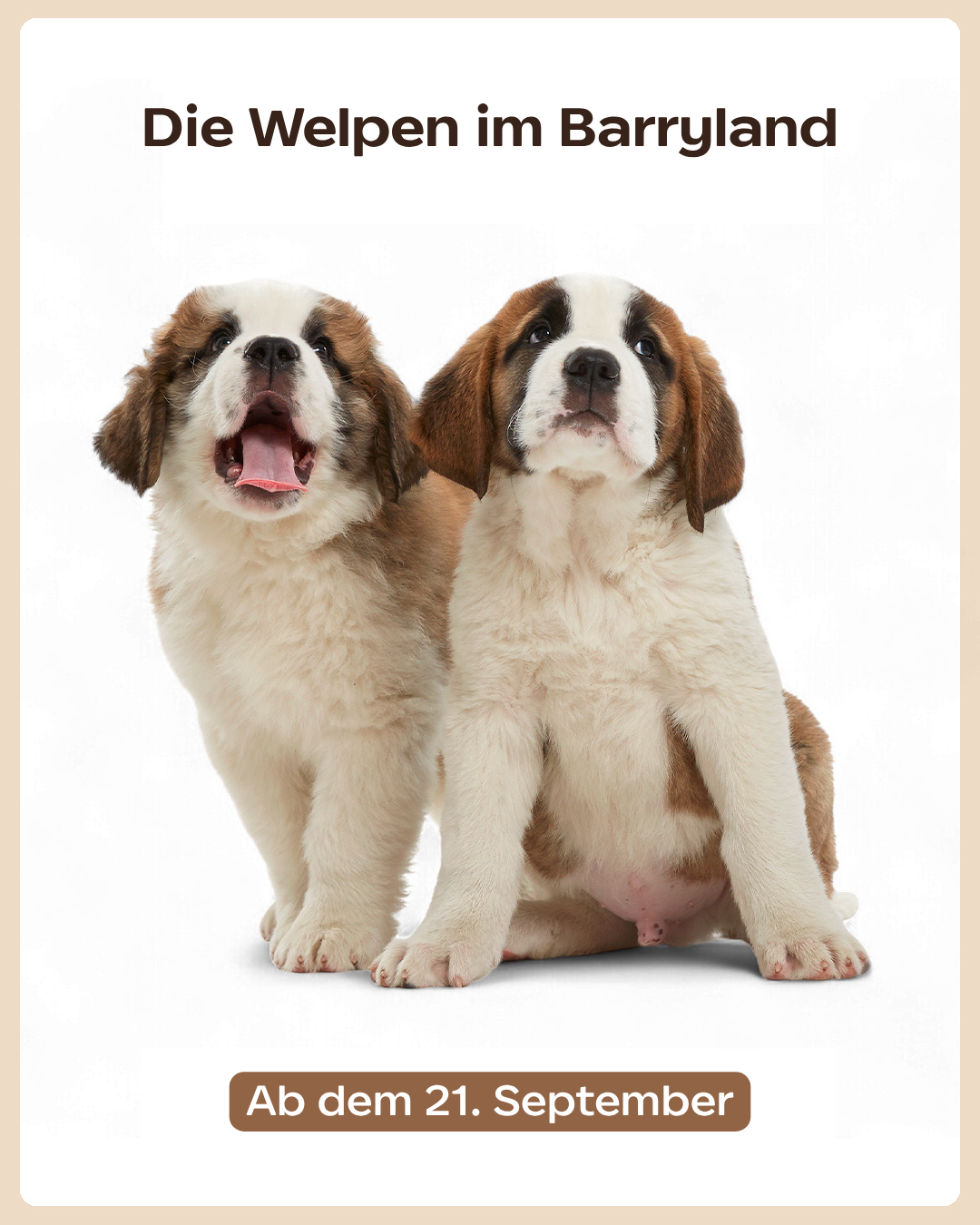 Die Welpen im Barryland