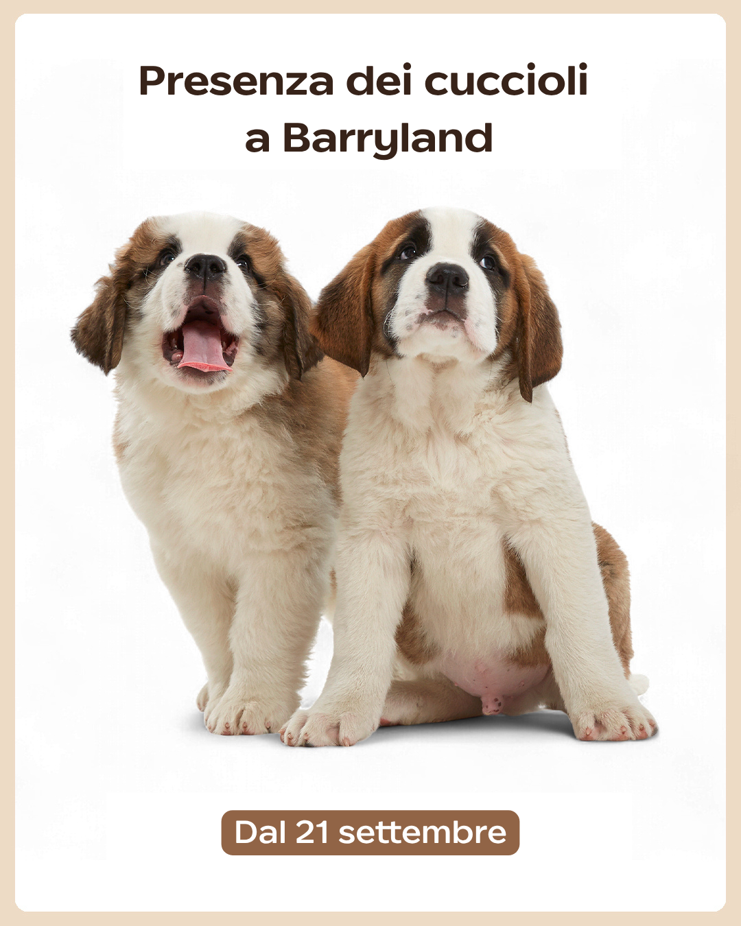 Presenza dei cuccioli al Barryland