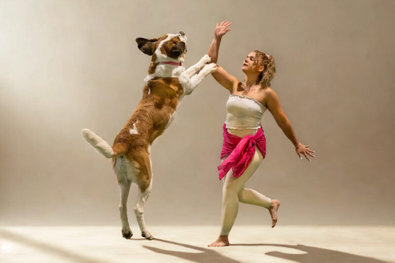 Spectacle Dog Dance