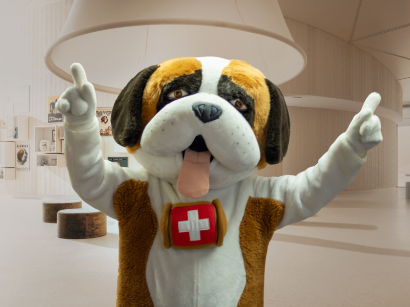 Rencontre avec la mascotte Barry