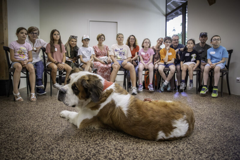 Workshop für Kinder (FR)